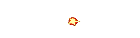 LOGO V13
