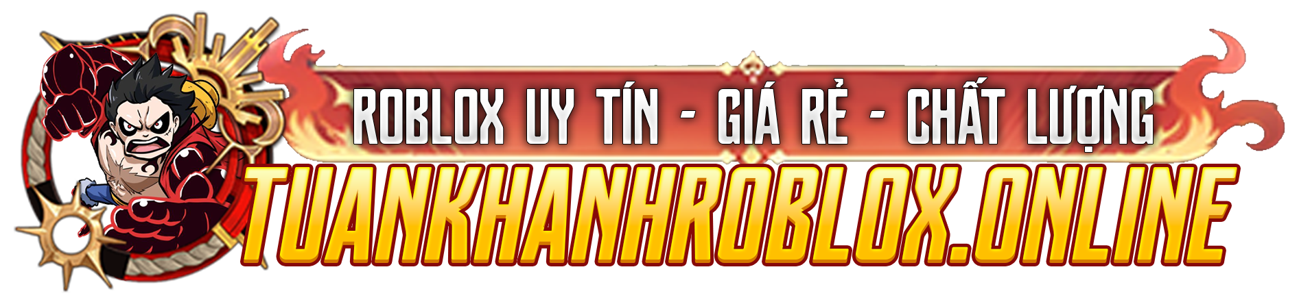 LOGO V5